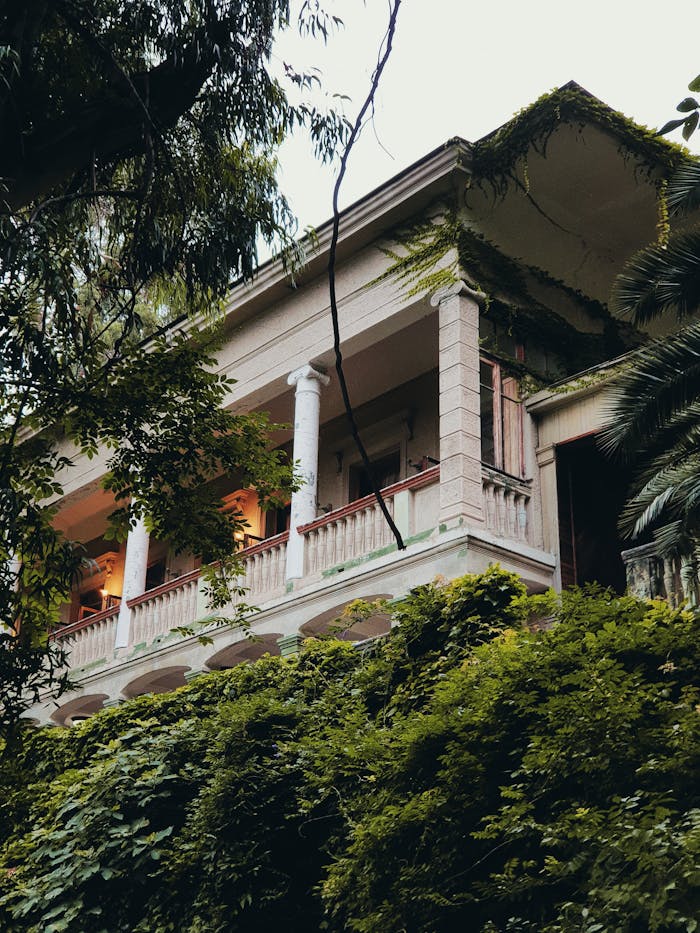 A classic colonial mansion with pillars, nestled among vibrant green foliage, showcasing timeless architectural style.